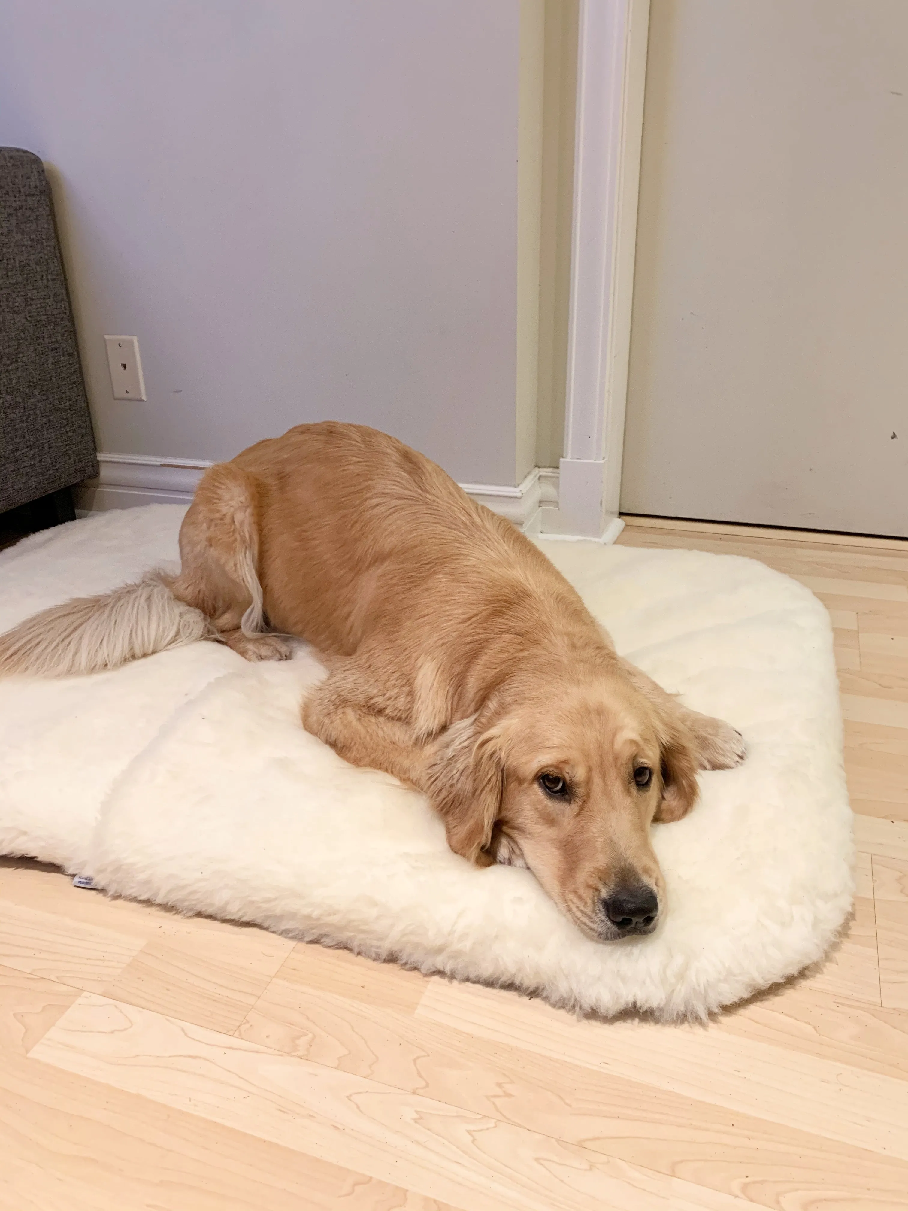 Sheep Wool Pet Beds