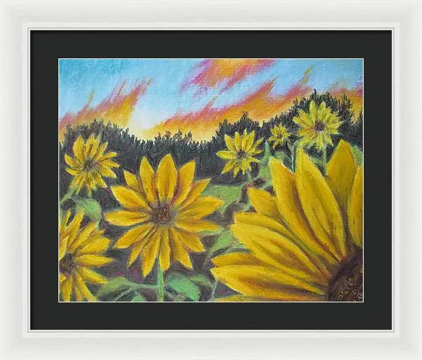 Sunflower Hue - Framed Print