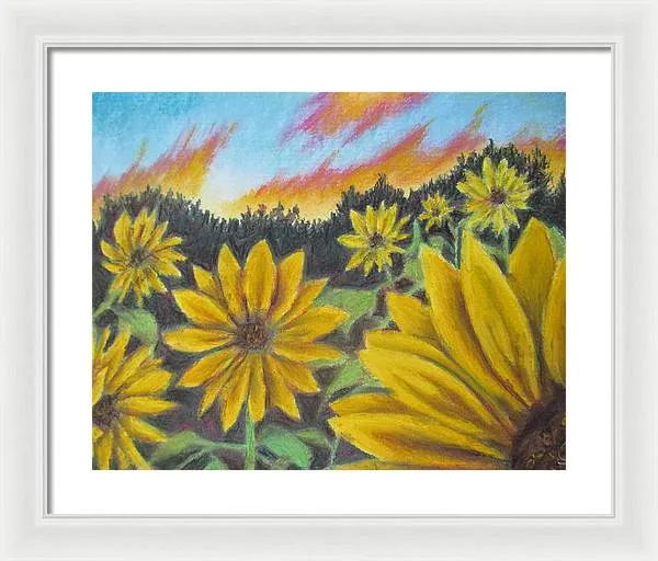 Sunflower Hue - Framed Print