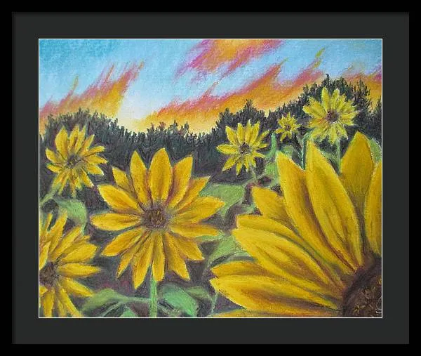 Sunflower Hue - Framed Print