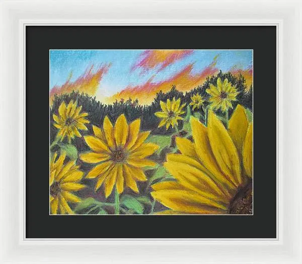 Sunflower Hue - Framed Print