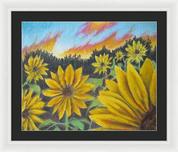 Sunflower Hue - Framed Print