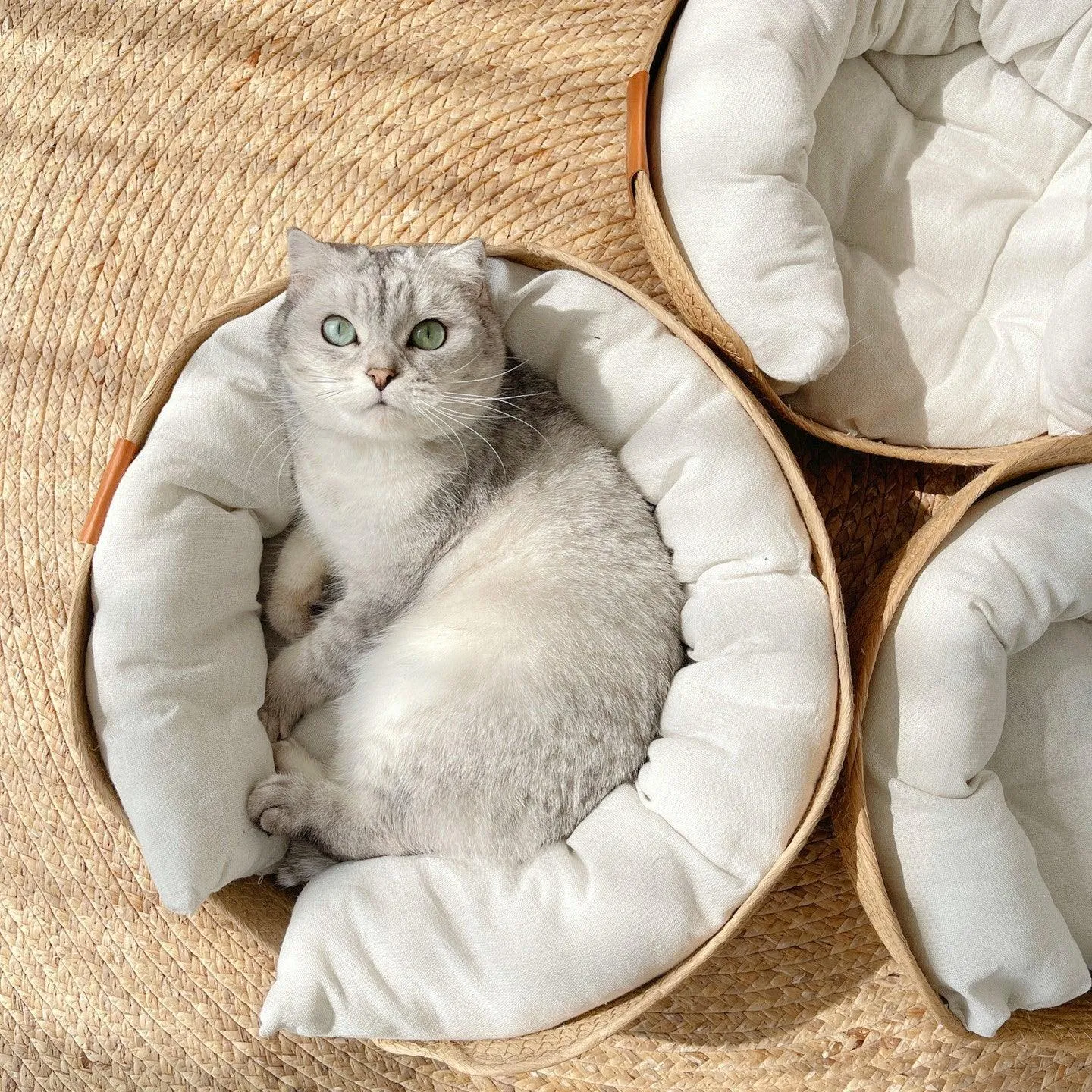 Woven Bamboo Cat Bed